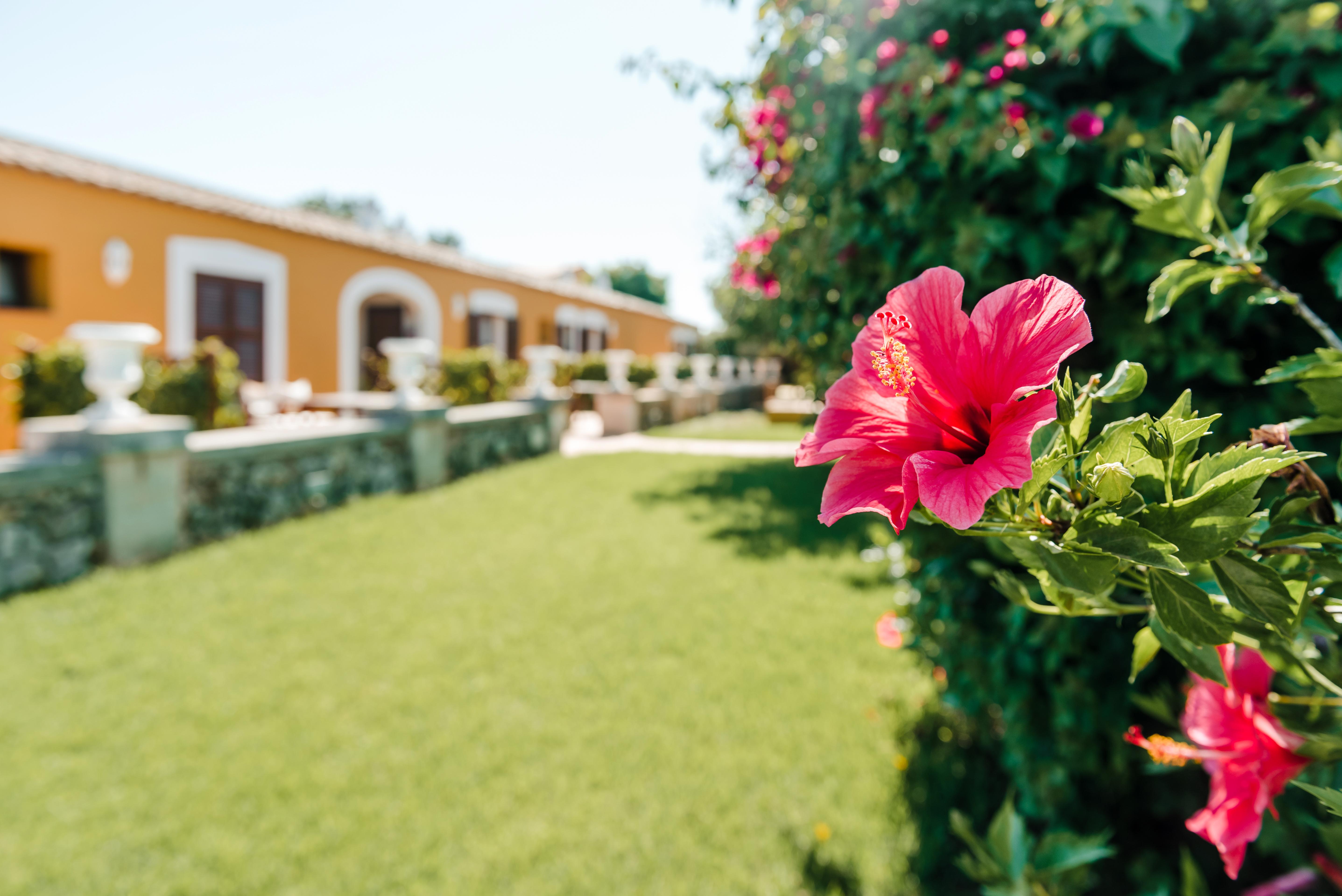 Hotel Rural Sant Ignasi Сьюдадела Экстерьер фото